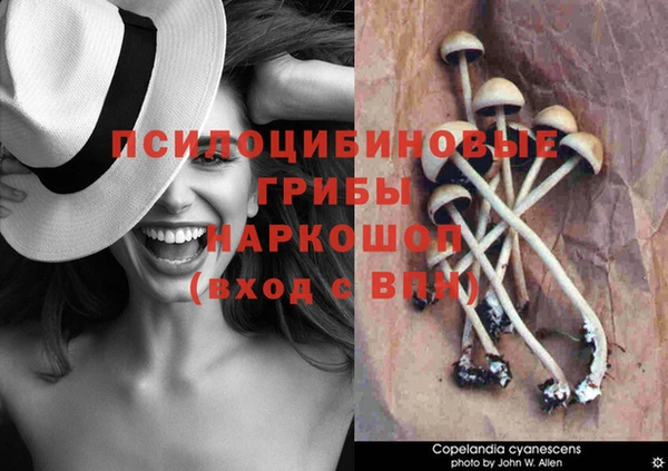 мефедрон мука Нефтегорск