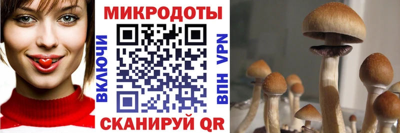 Галлюциногенные грибы ЛСД  Омск 