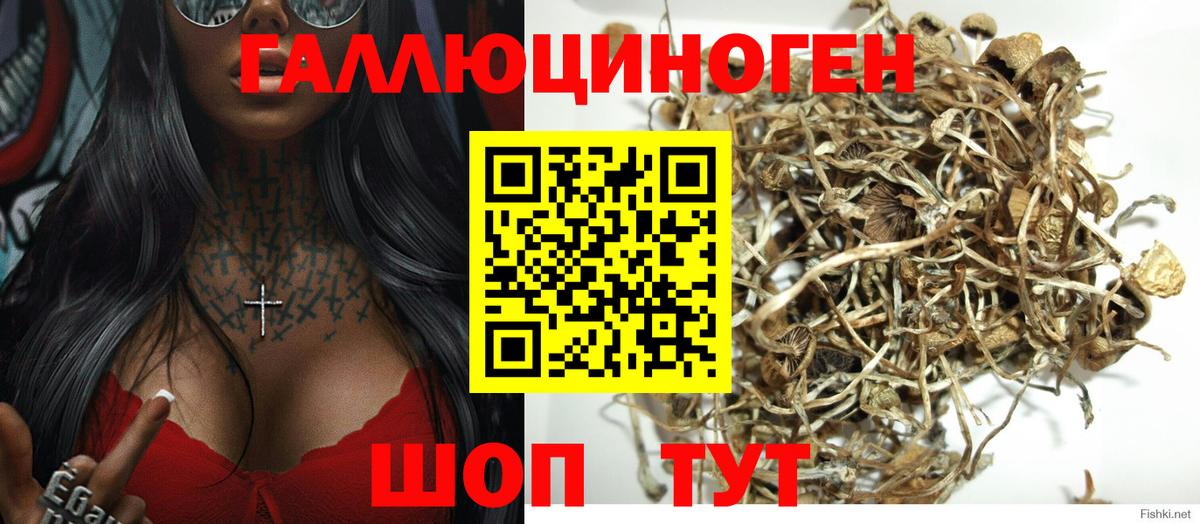 Галлюциногенные грибы мицелий  Вход с VPN  Омск 